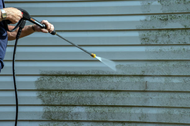 Best Pressure Washing Near Me  in Trumansburg, NY